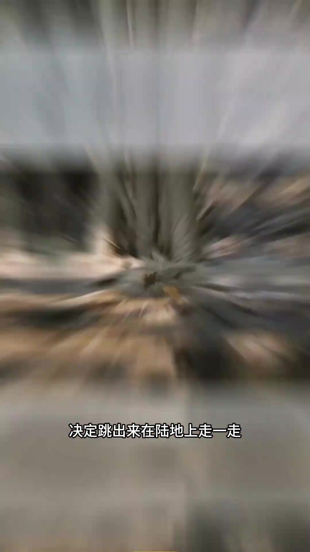 弹涂鱼:奇妙适应力的泥鳅科鱼类,陆地生存的水中奇迹