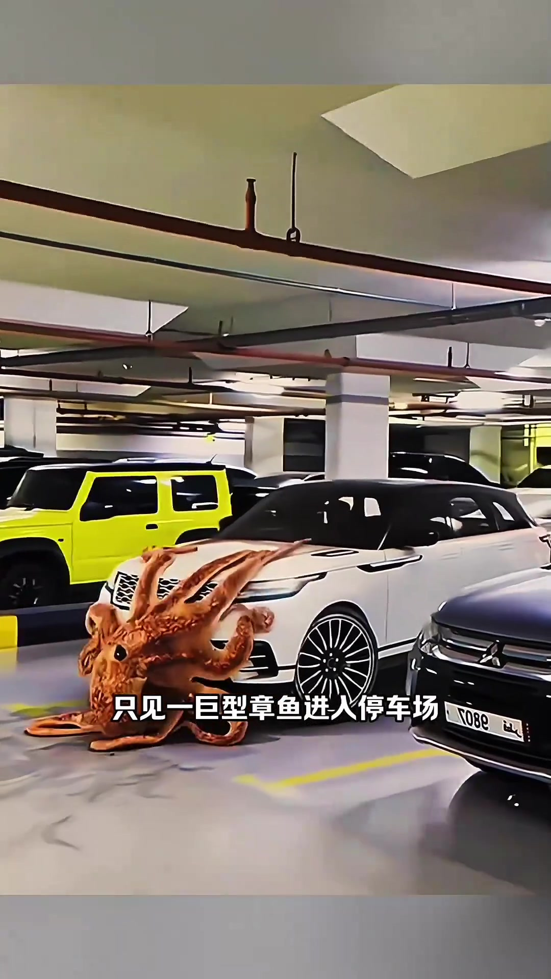 巨型章鱼好像变异了～