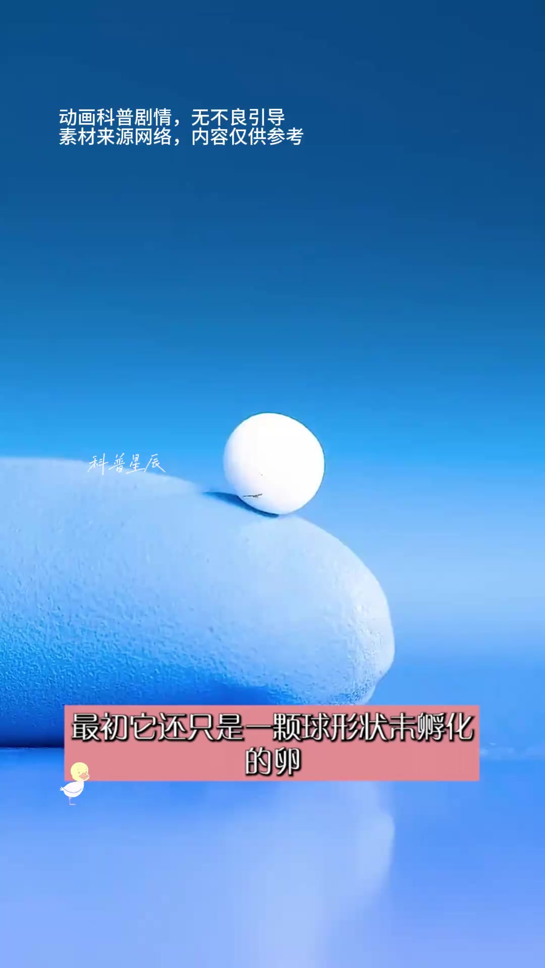 生吃牛肉危险!寄生虫与核爆冰箱保护解析