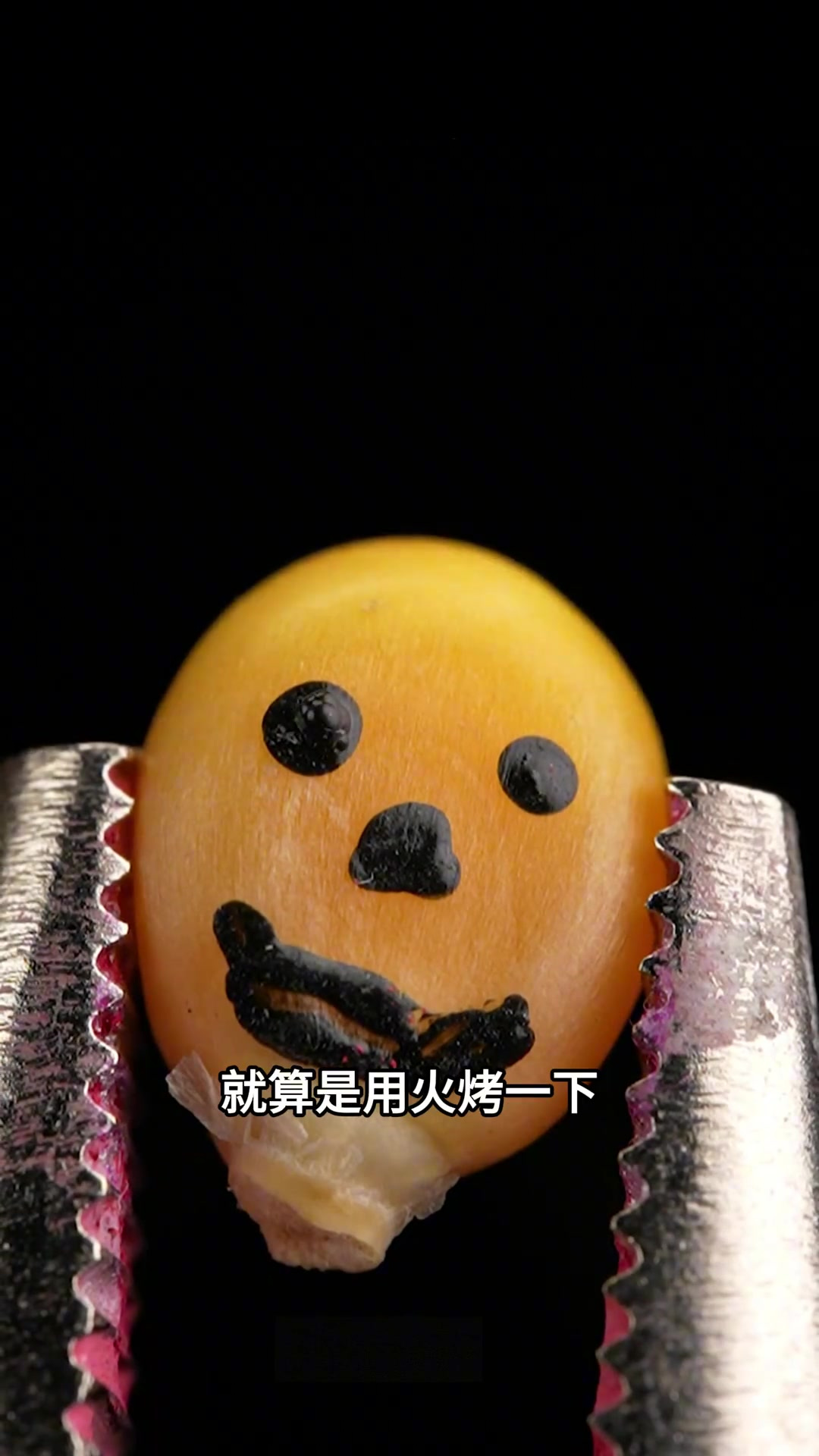 玉米可以制作爆米花,但你知道其中的原理吗?