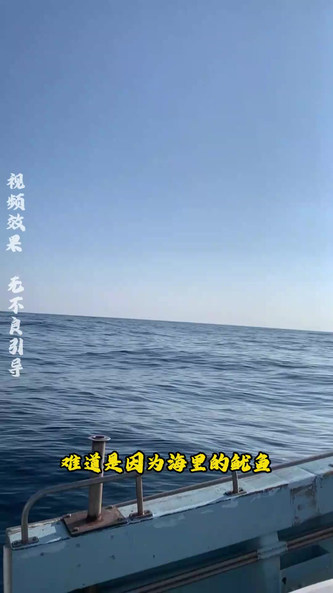 “变色鱿鱼:死后仍能留痕的奇妙现象”