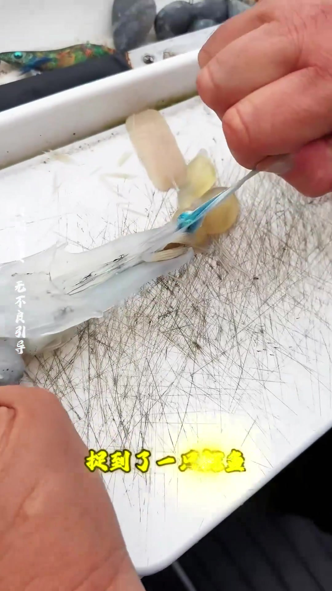 鱿鱼墨汁难清洗,男子示范顽固清洁挑战