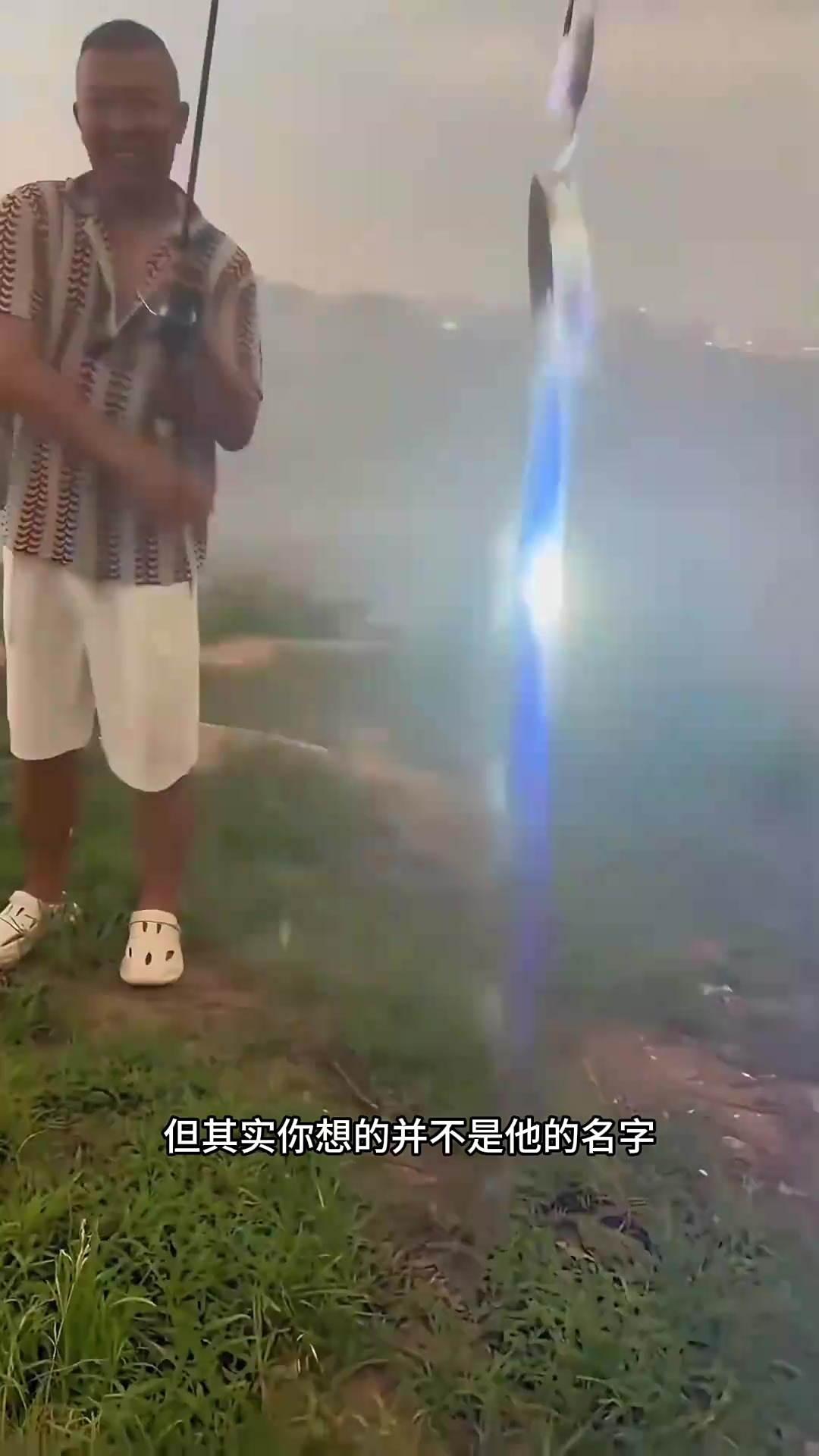 神奇的发光带鱼:海底闪耀的光影