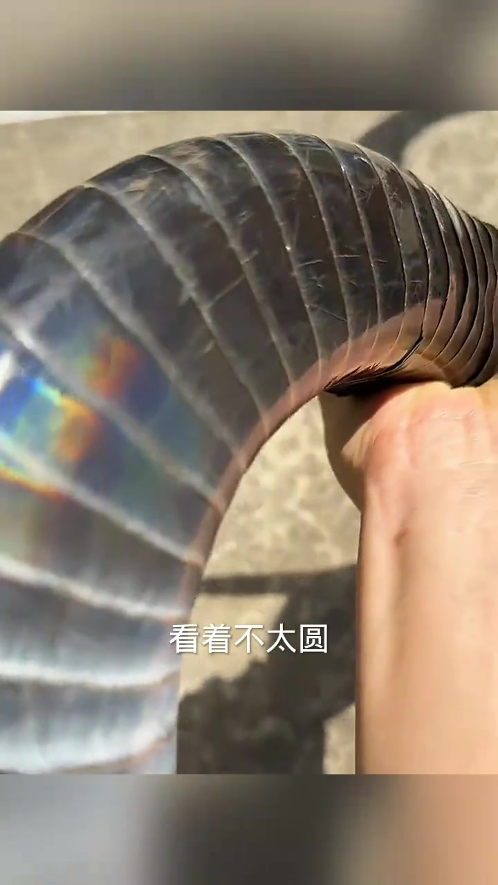 神秘物体引发联想:粗壮“蛇”究竟是什么?