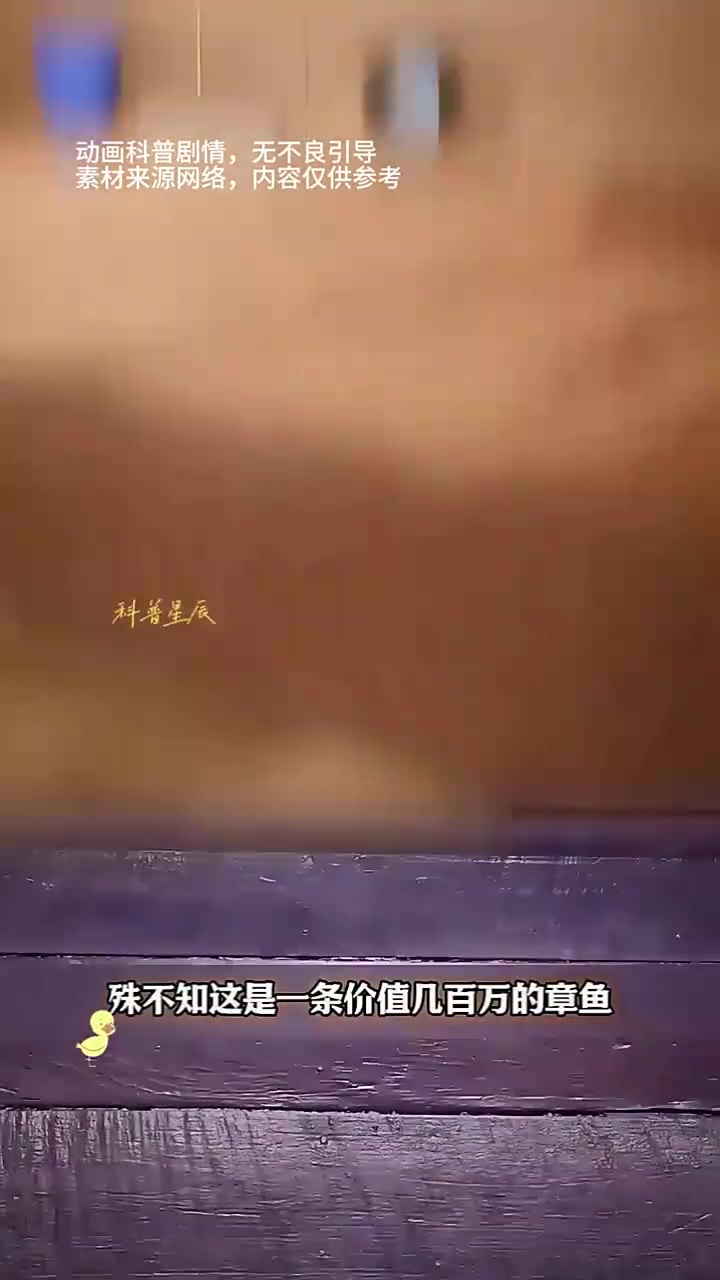「章鱼与蓝鲸的奇妙命运:从被砍到奢华香水的转变旅程」