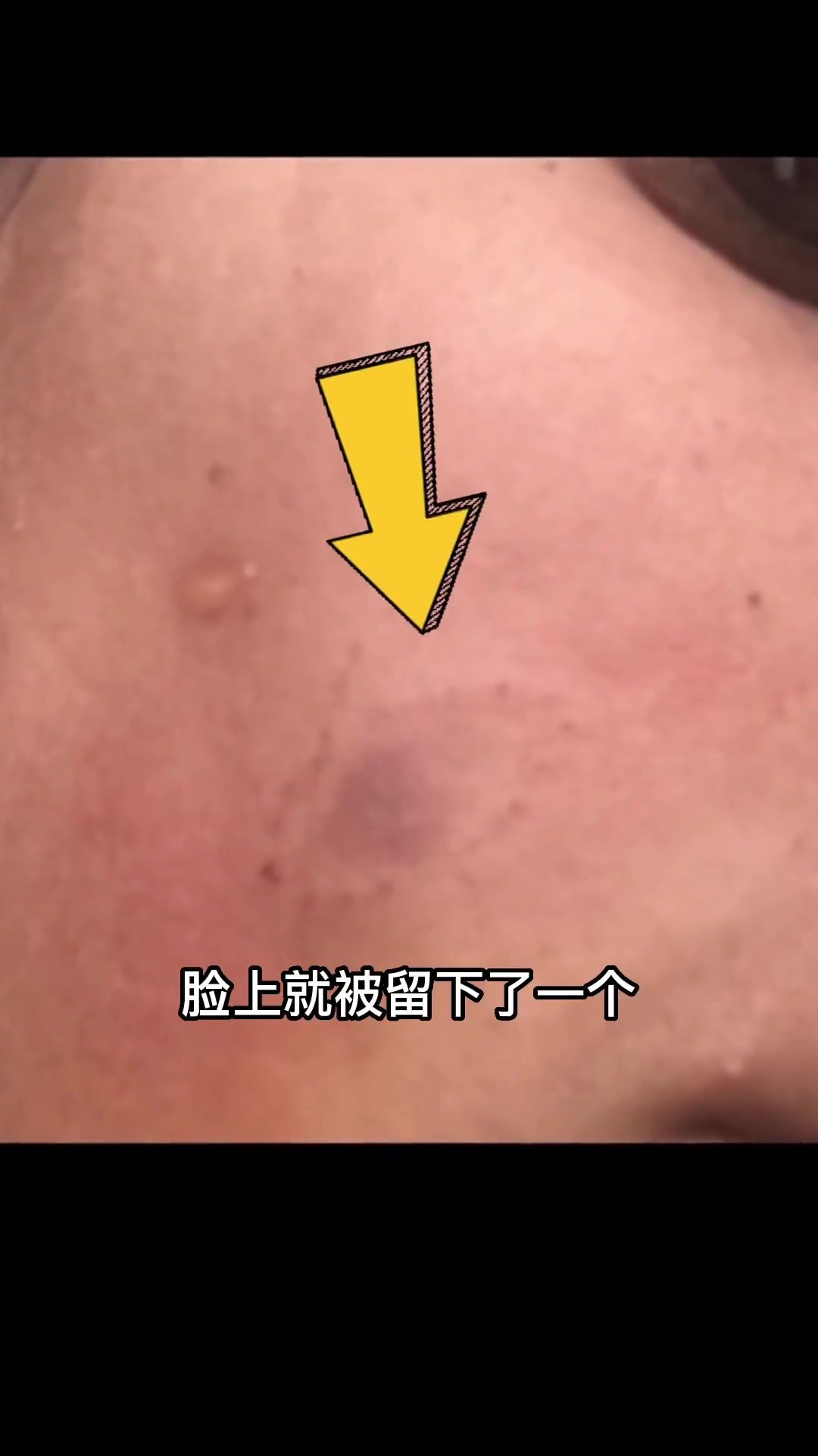 潜水遇见“炮弹鱼”:这条鱼的攻击性和人类牙齿惊人相似!