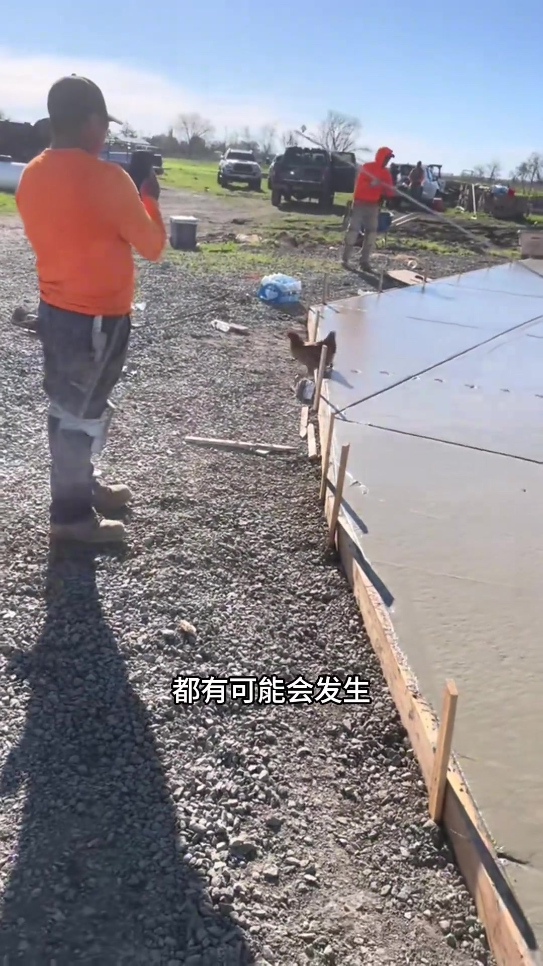 水泥地上的鸡脚印:小痕迹中的美与纪念