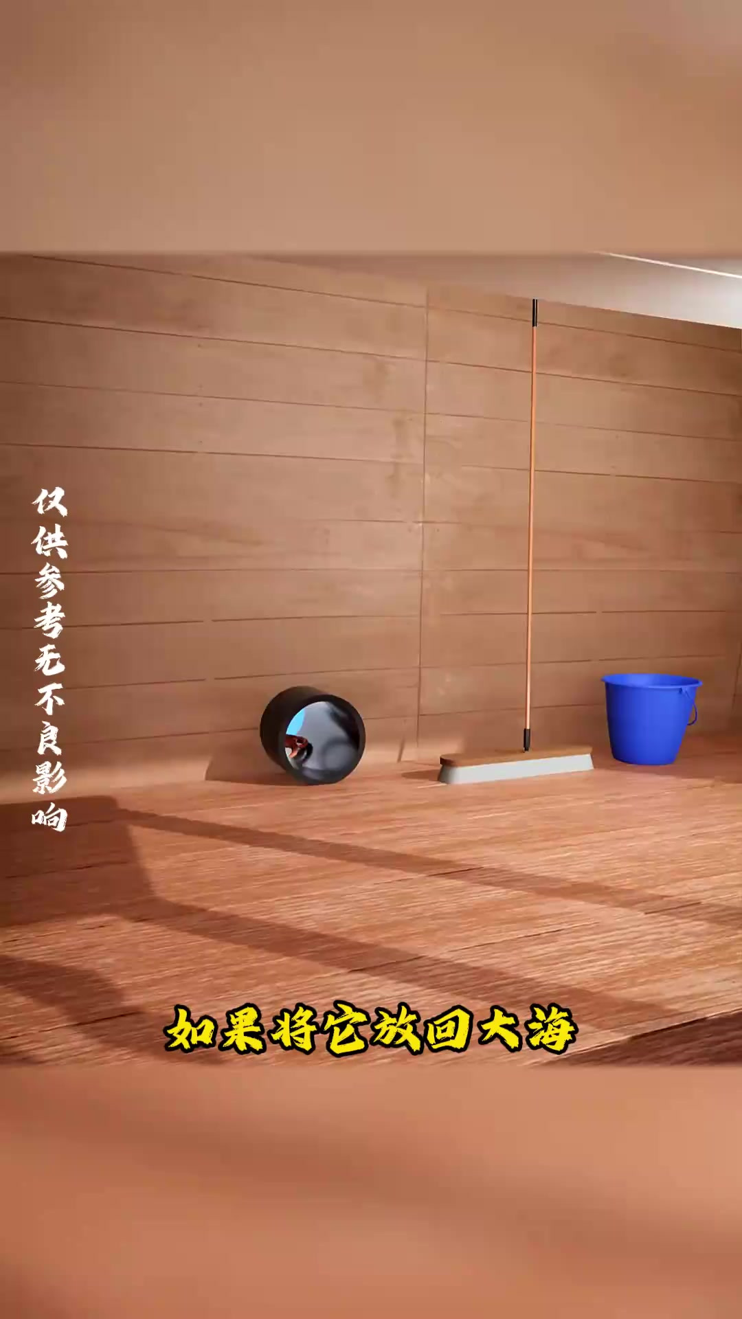 章鱼触角再生的奇妙过程:生存与重生的生命奇迹