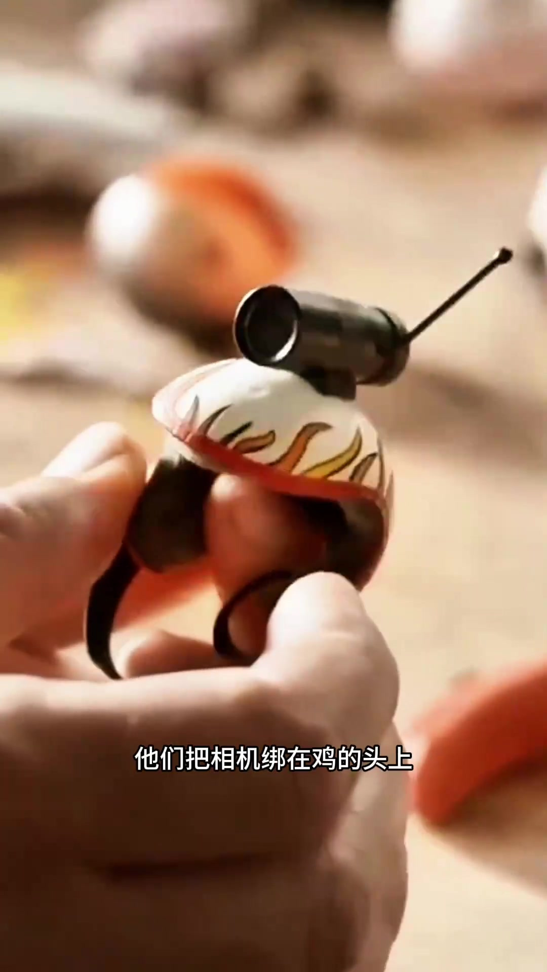 鸡头比专业稳定器还稳定