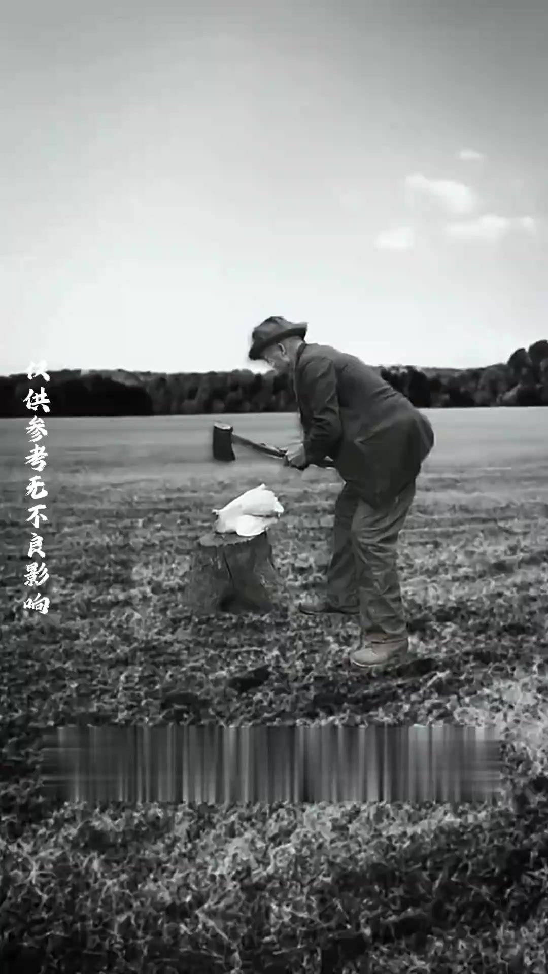 离奇故事:活过两年的无头鸡麦克展现生命的奇迹与顽强