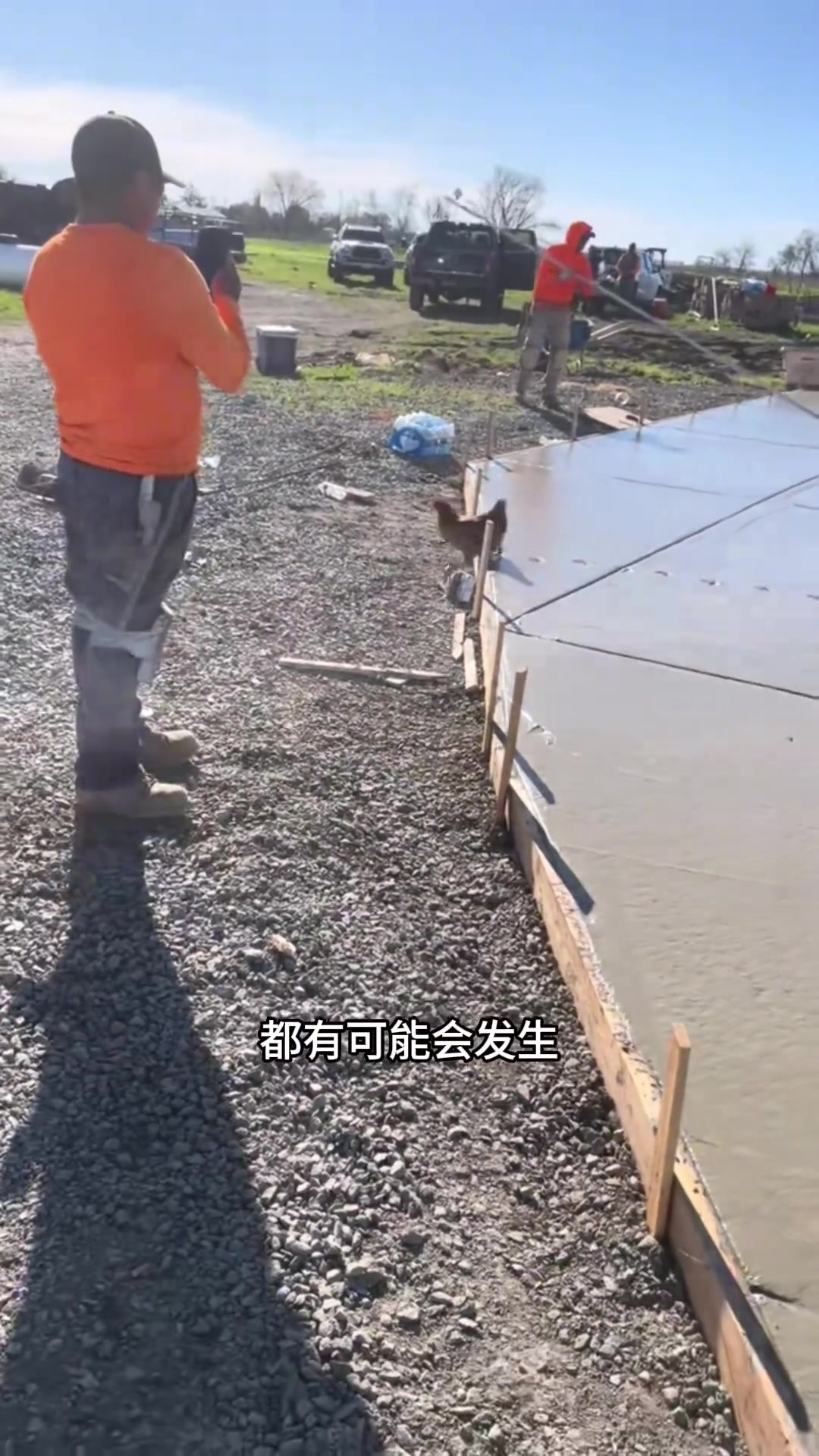 你看露出鸡脚印了吧,语文课本说的没错,小鸡画竹叶 鸡脚