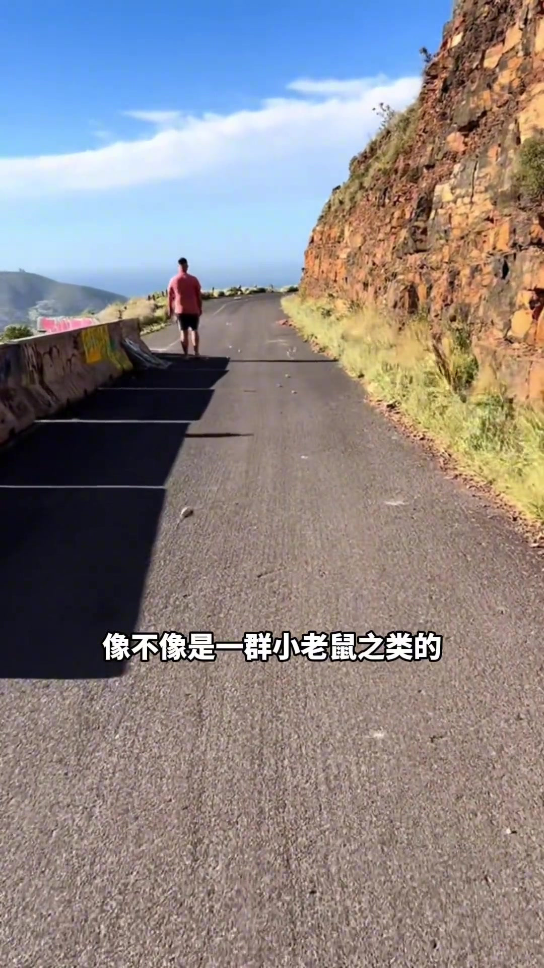 探索植物界的奇趣冷知识:会跑的草与吃的野菜!