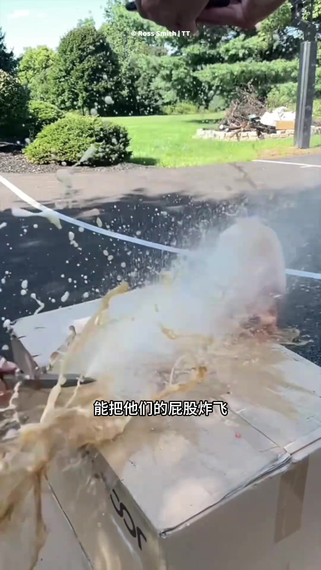 可以抵抗鲨鱼的武器