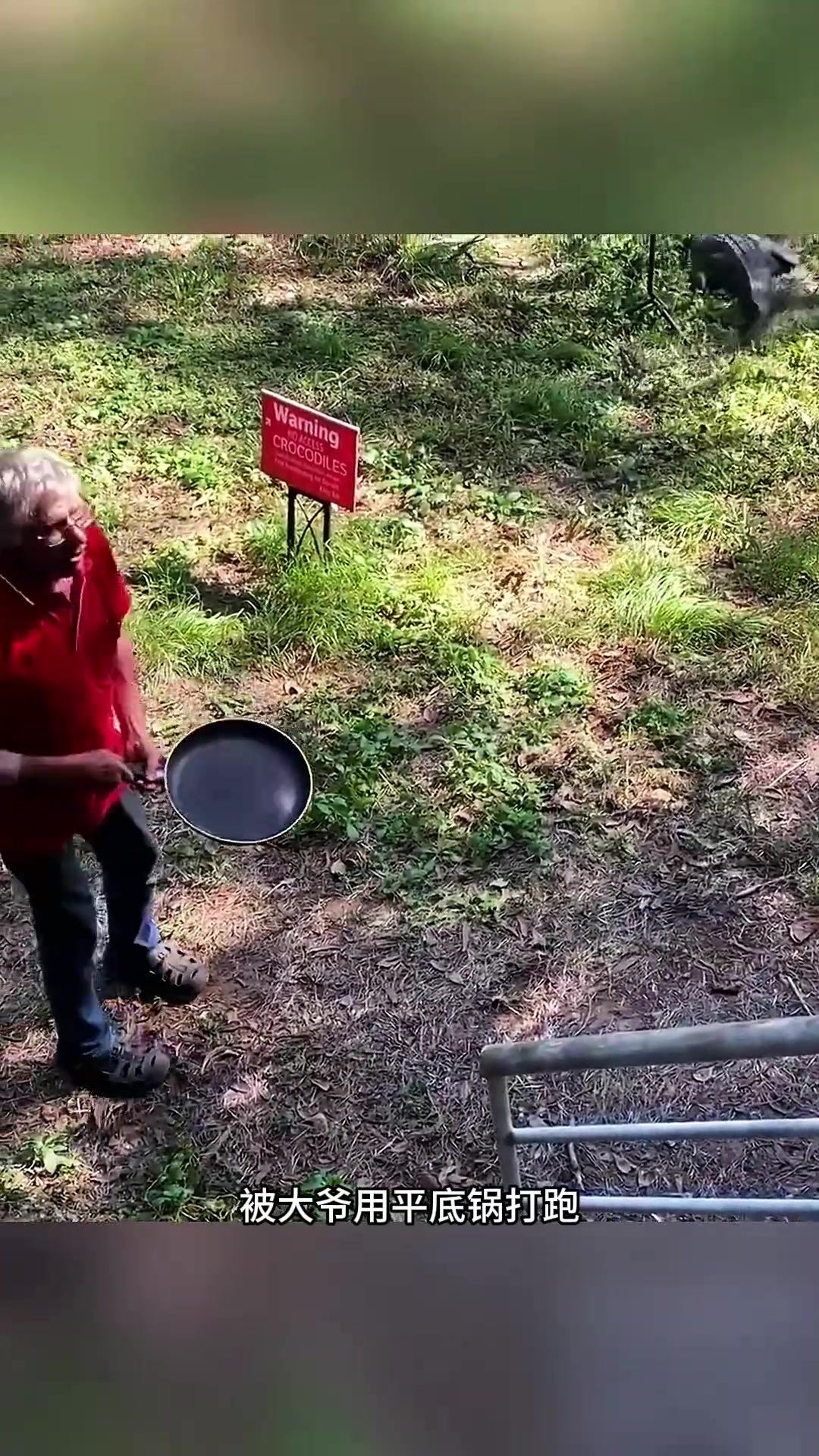 澳大利亚鳄鱼闯入民宅,被大爷用平底锅驱赶,闹剧频发令人堪忧