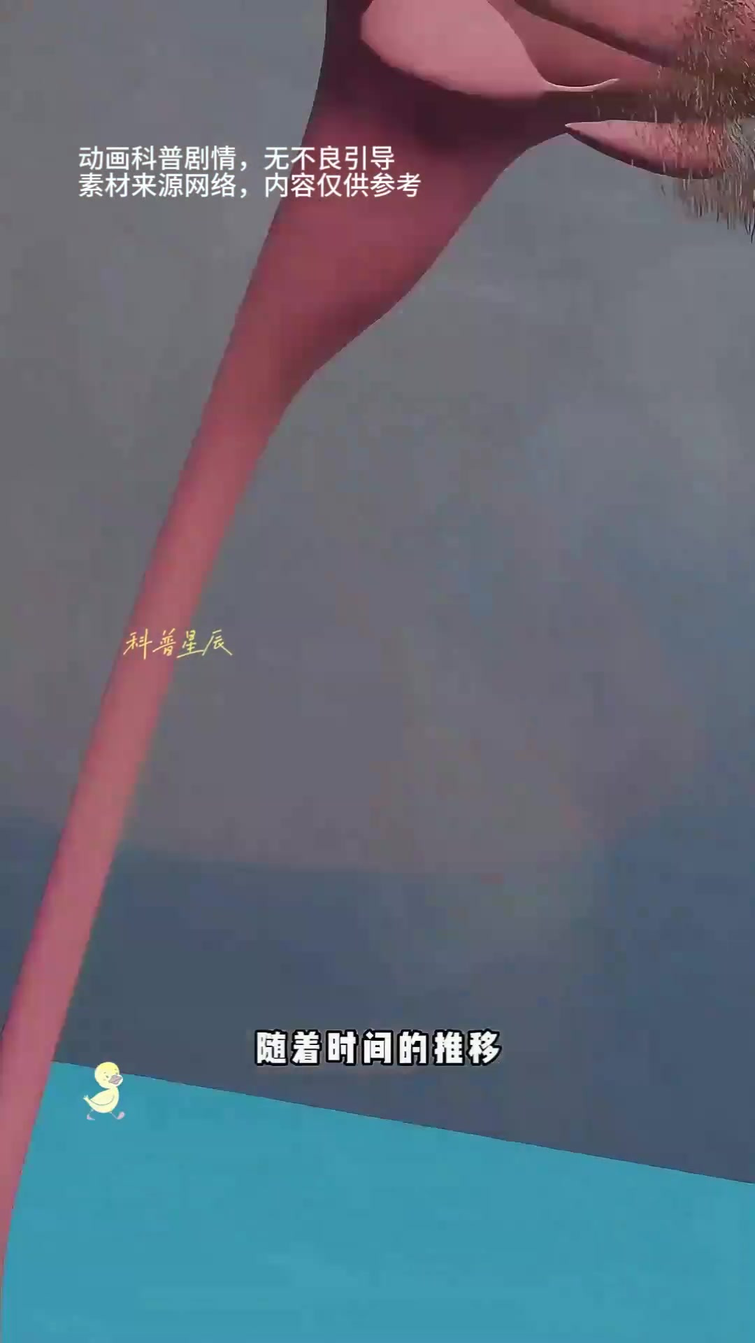 绦虫寄生虫:生长至数米,宿主体内存活数年