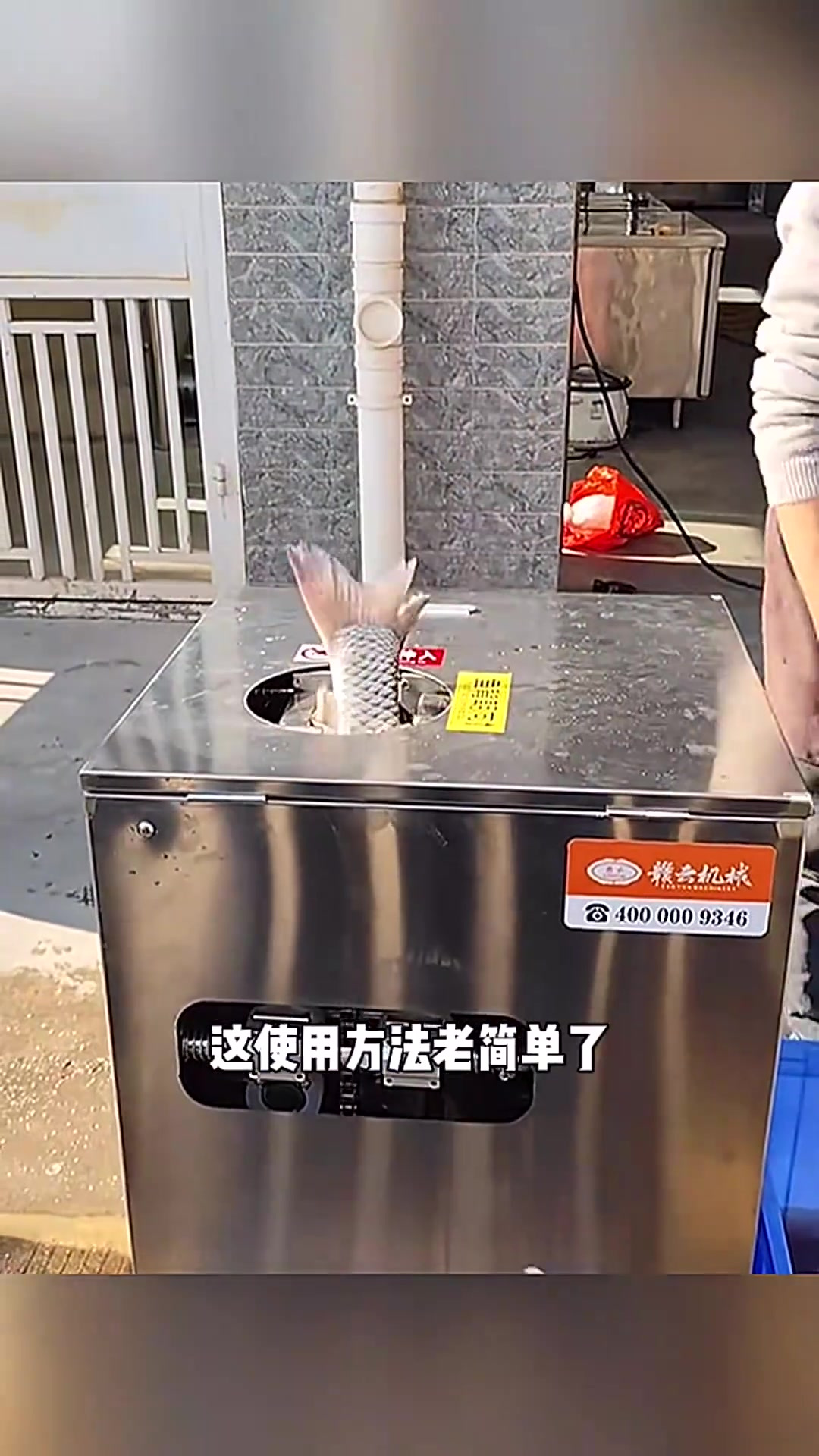 新型去鱼鳞机:轻松助你省时省力,几秒完成鱼鳞处理!