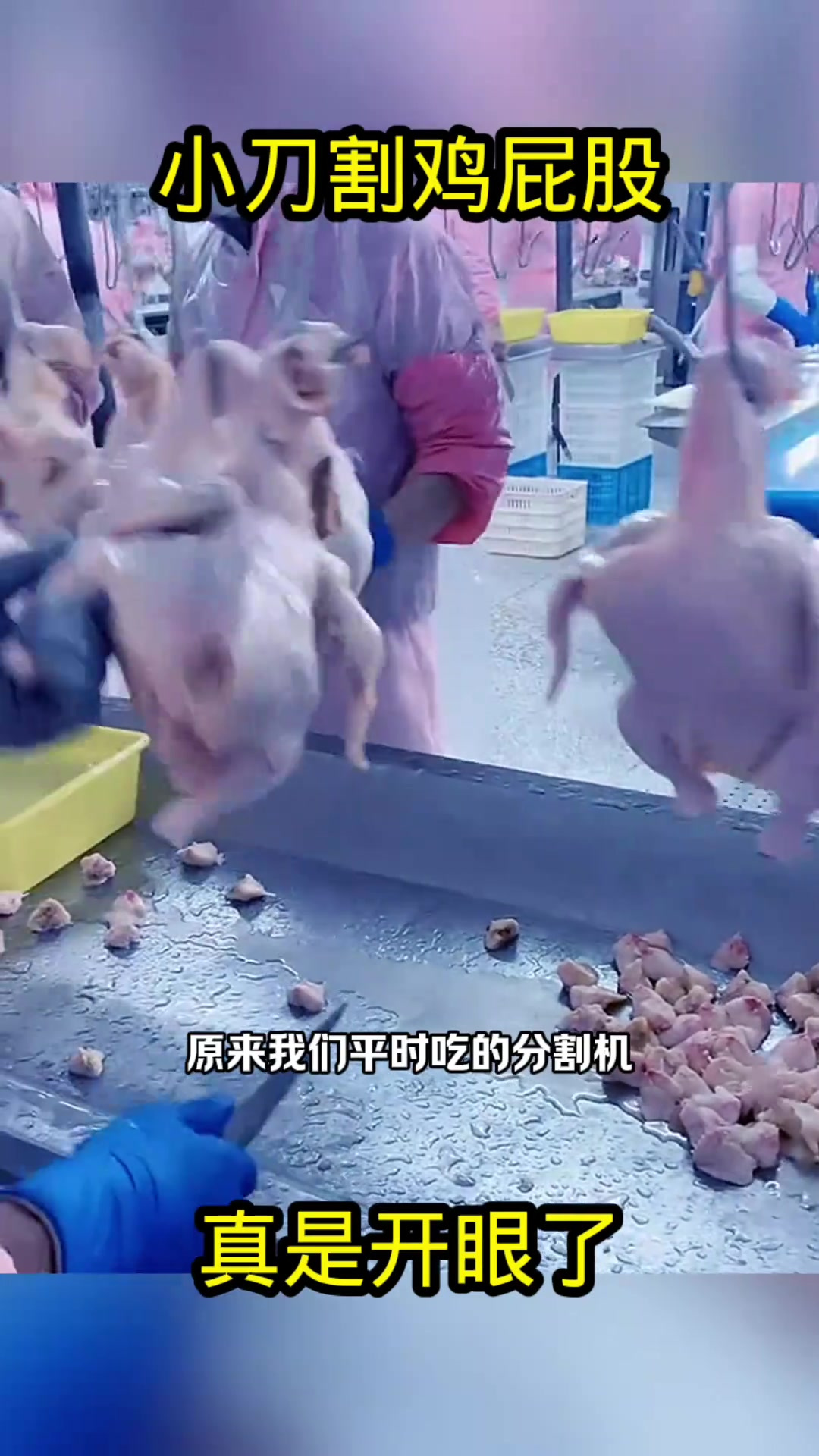 目击鸡肉分割过程,直击肉联厂内幕,敢不敢给我尝尝?