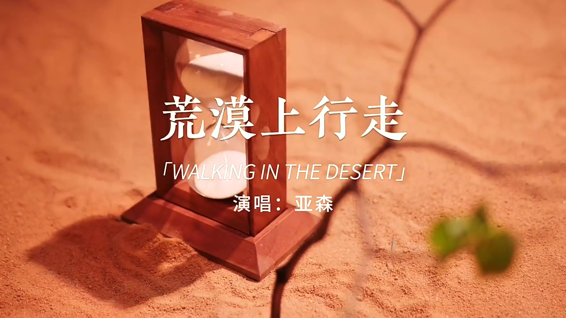看综艺种草了这首《荒漠上行走》原唱完整版