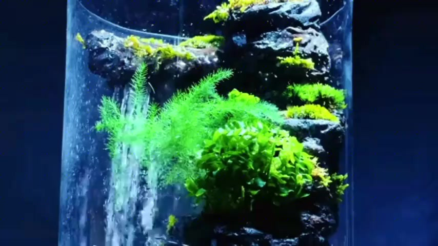 创意无限!迷你水族箱假山瀑布制作教程,尽显艺术之美
