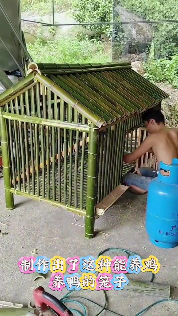 表哥巧用废弃竹子自制实用养殖笼,工序虽繁琐却更胜铁笼