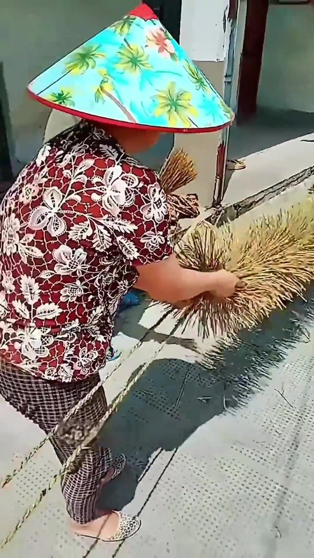 “超大号鸡毛毯子:大学时的幽默与怀疑”