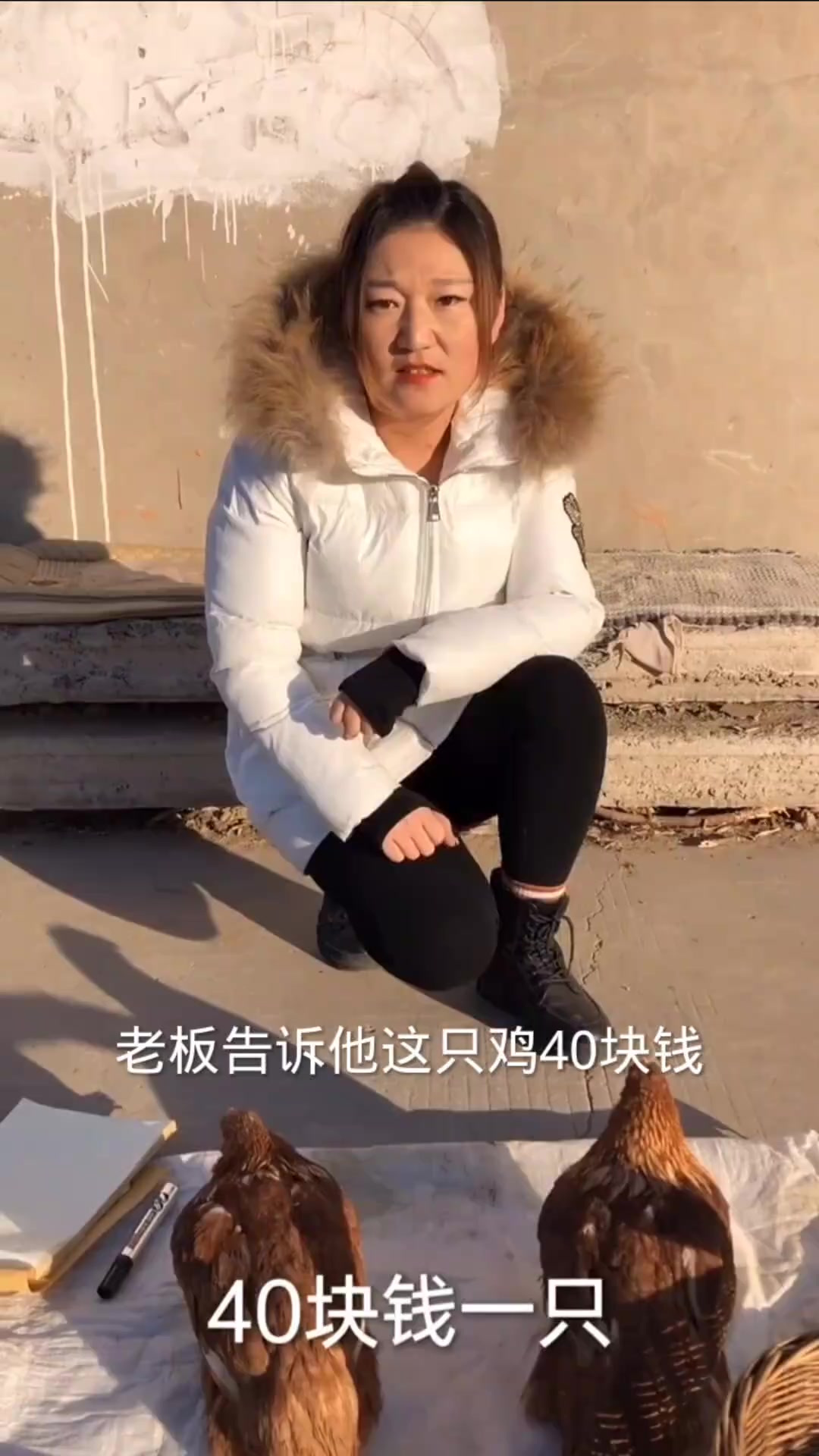 狗子买鸡真搞笑