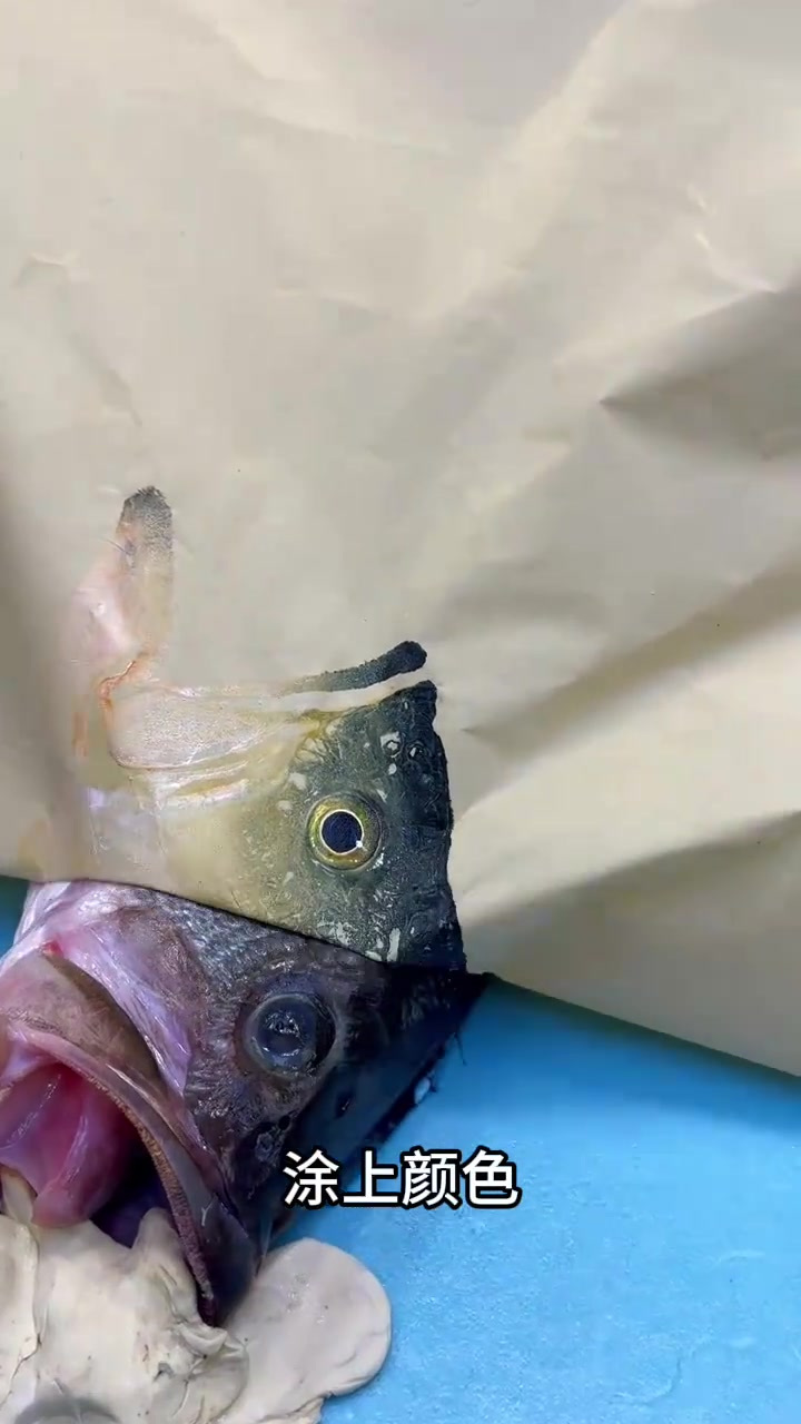 “创新艺术:活鱼变身模具,纸上绘出栩栩如生的图案”