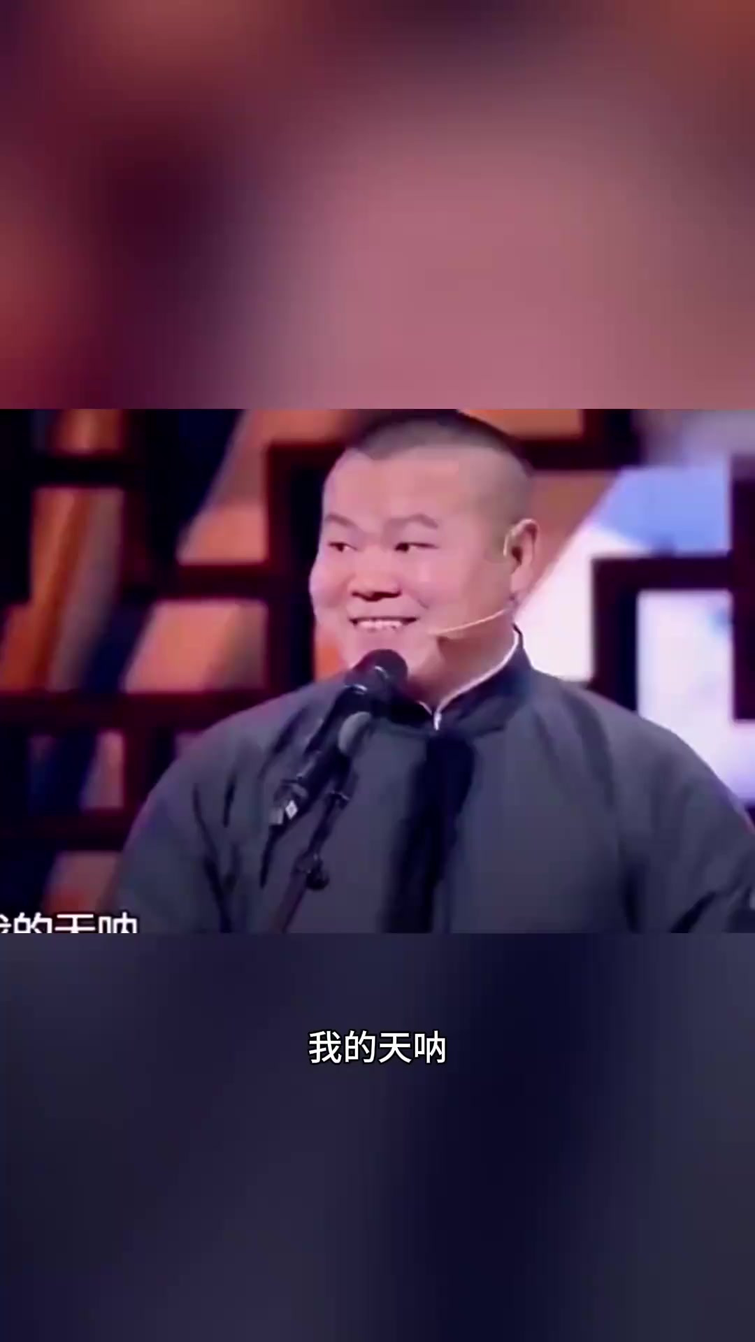 小狗小猫鸭子们的幸福生活:享受温暖与美味柿子
