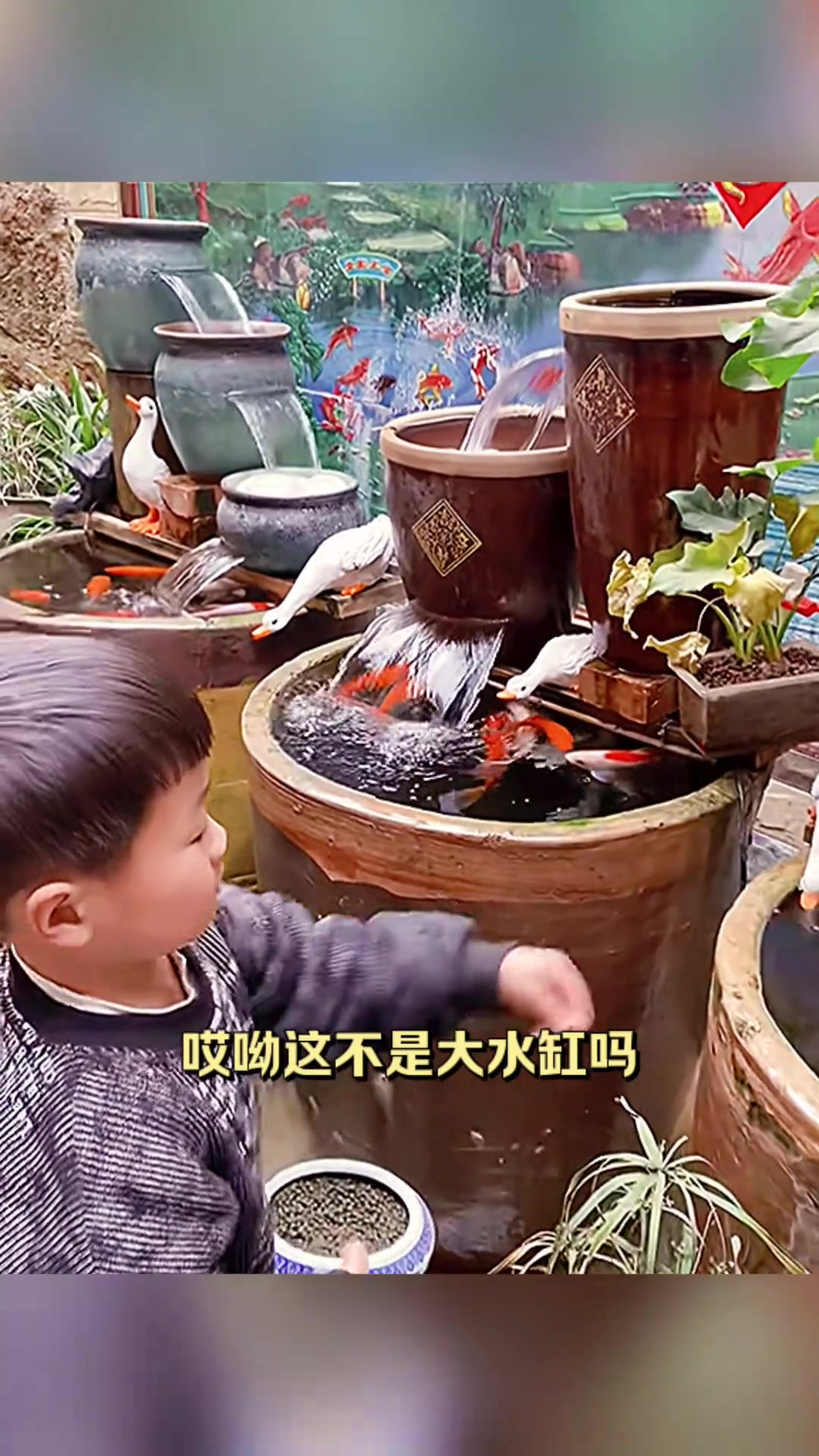 奇妙大水缸改造成鱼缸,水循环设计真是高手!