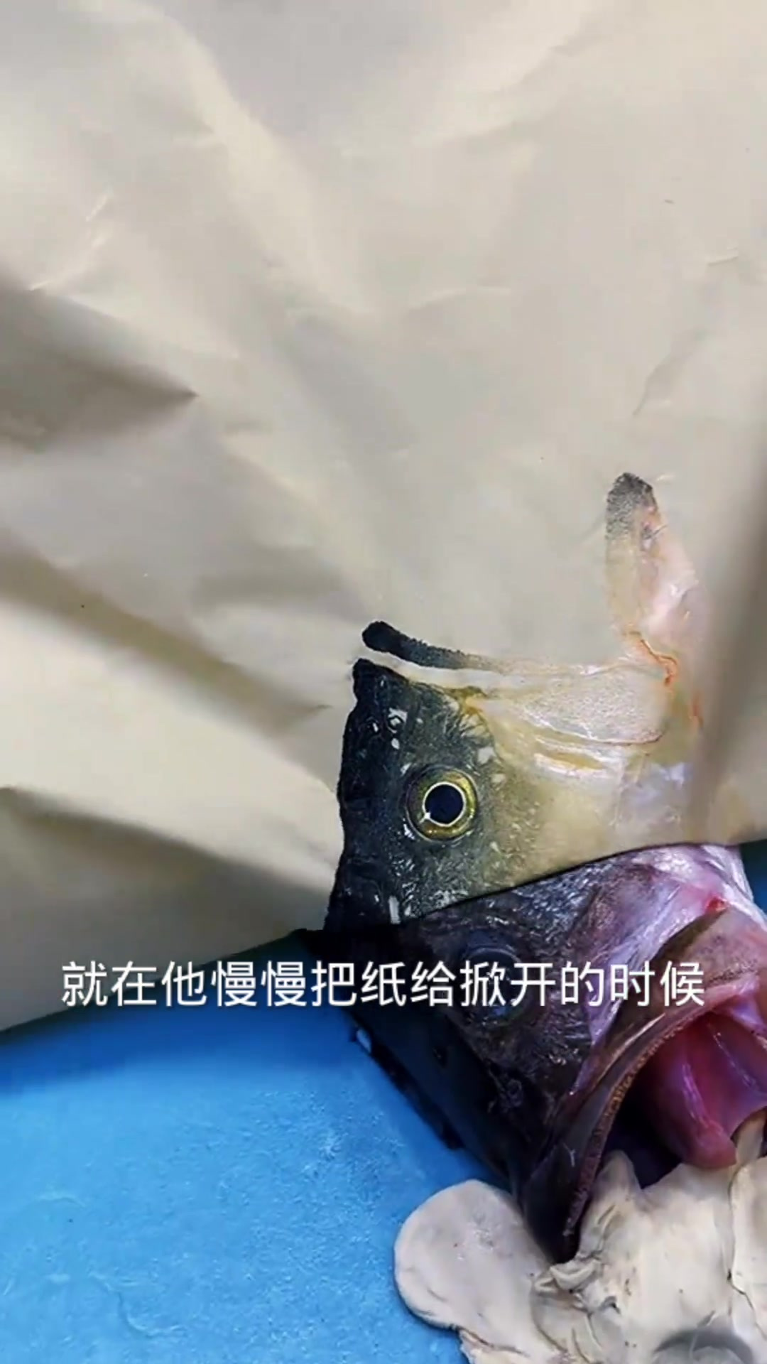 直接就把鱼给印出来了