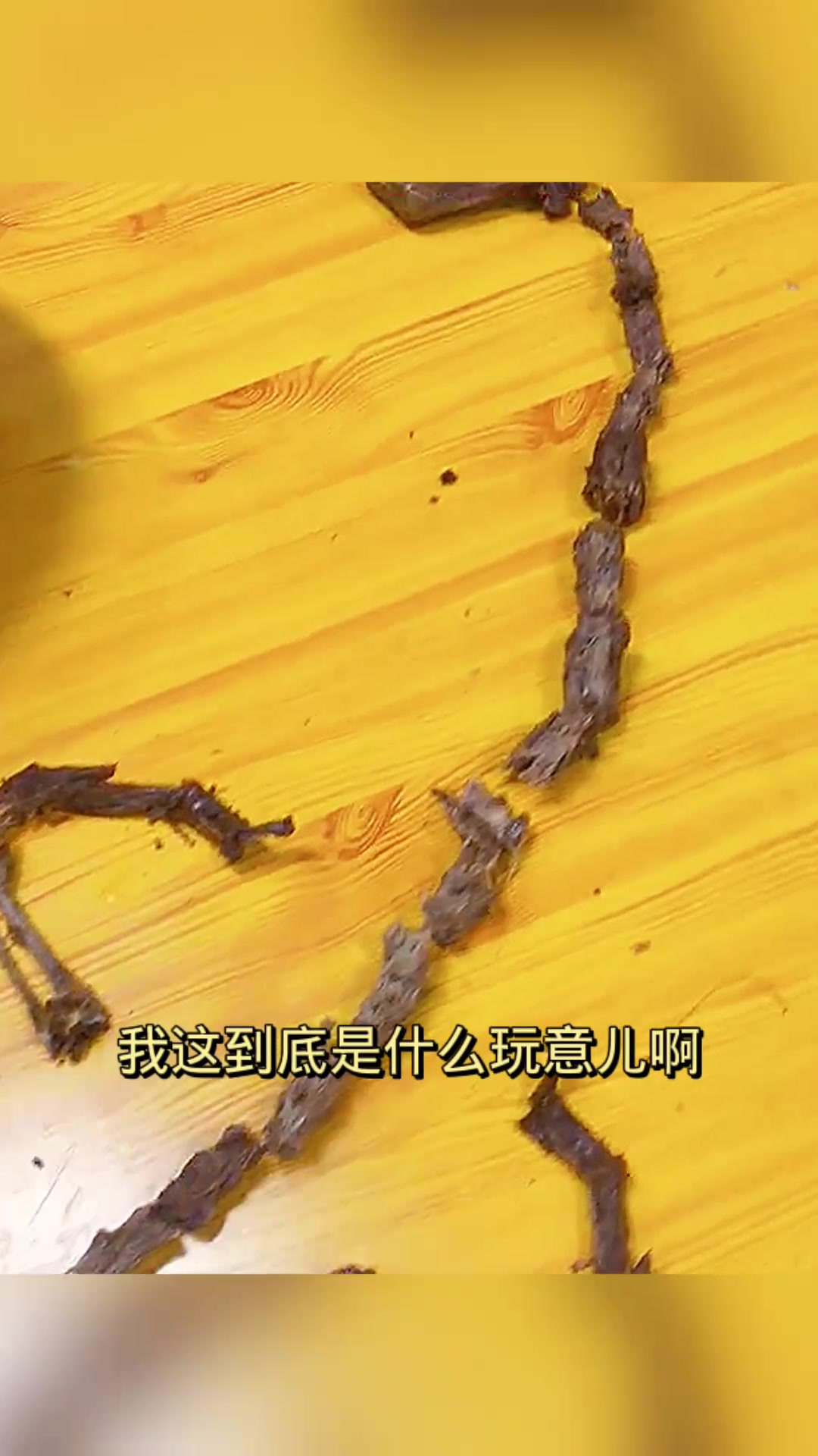 我第一次吃!鸭子还是鸭嘴兽?
