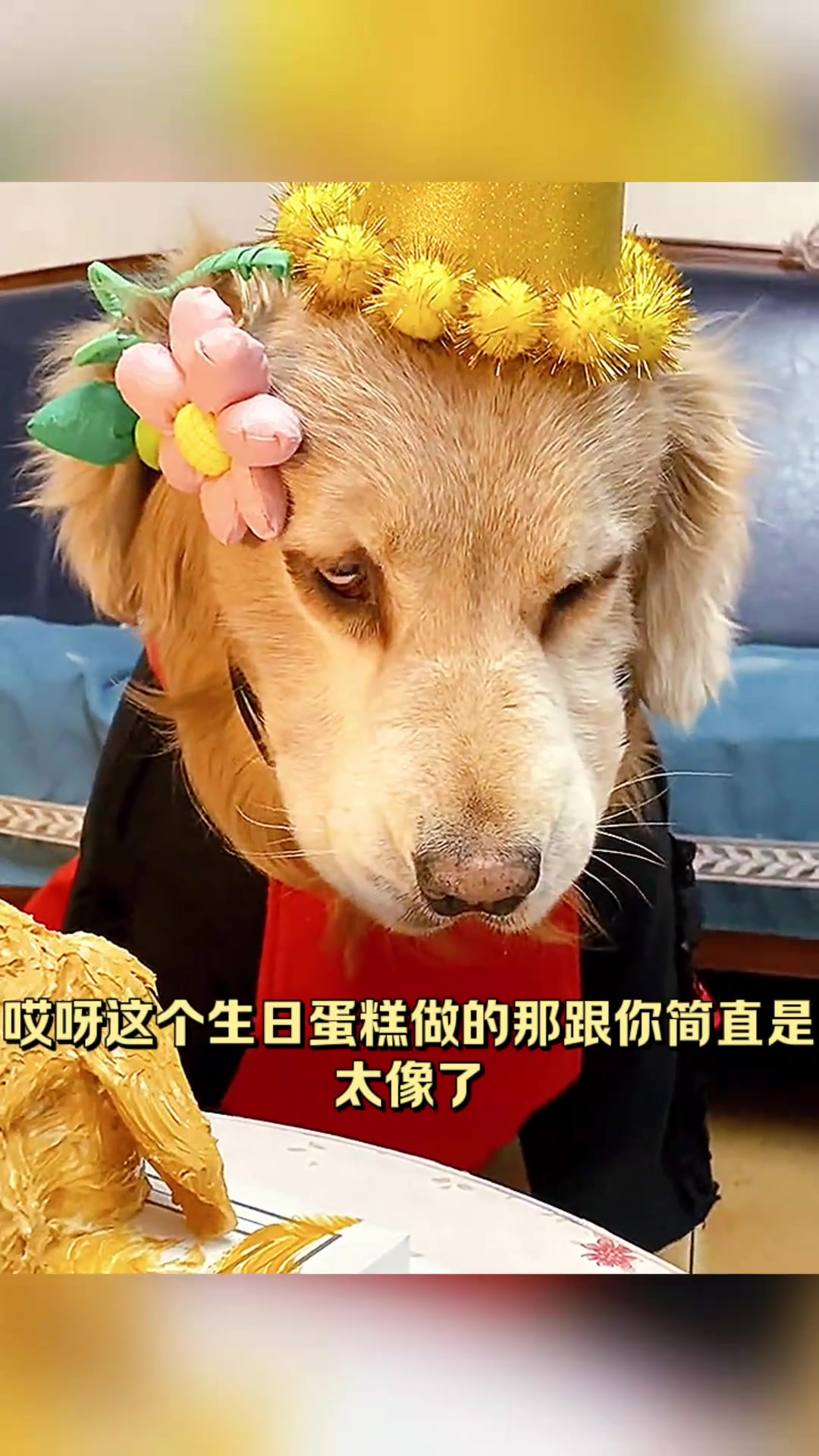 生日蛋糕惊现二狗子,表情神还原