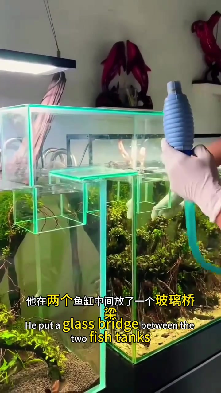 万万没想到,这样也能把鱼缸给连接起来