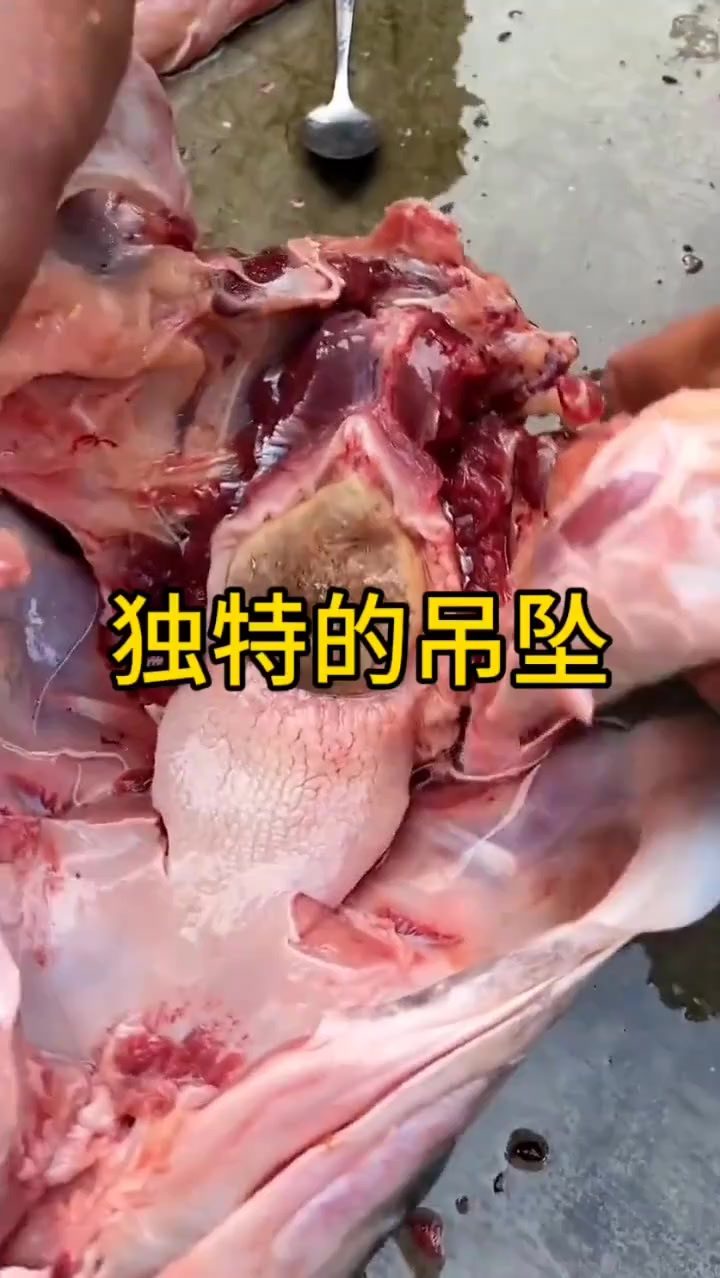 平凡生活中的惊喜:青鱼骨变身优雅吊坠