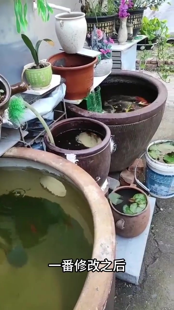 创意无限,老表闲置水缸变身养鱼箱惊艳众人