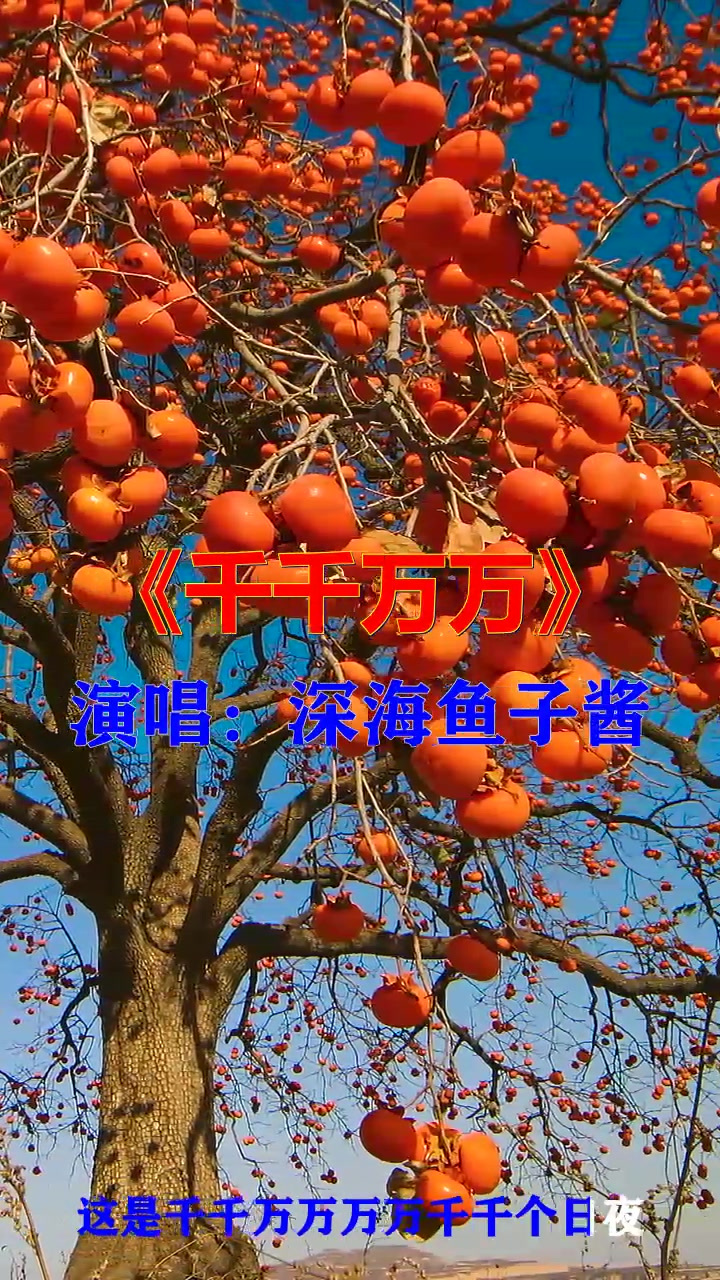听完深海鱼子酱的《千千万万》,仿佛置身欢乐派对,心情愉悦