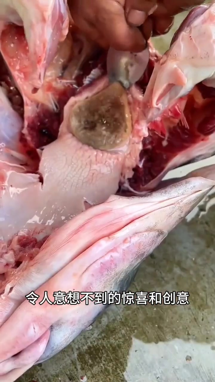 平凡生活中的意外惊喜:老表将青鱼鱼骨打造成独特吊坠的创意故事