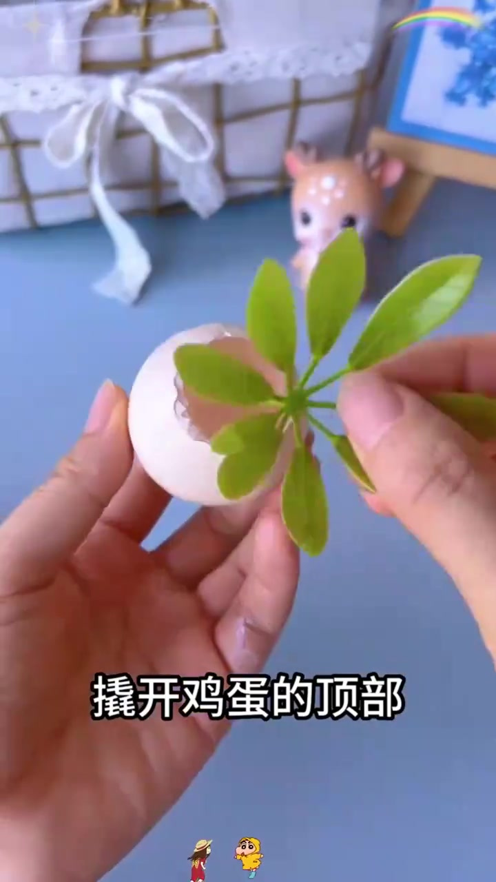 利用鸡蛋壳DIY创意解暑玩具,轻松制作美丽植物冰球!(2)