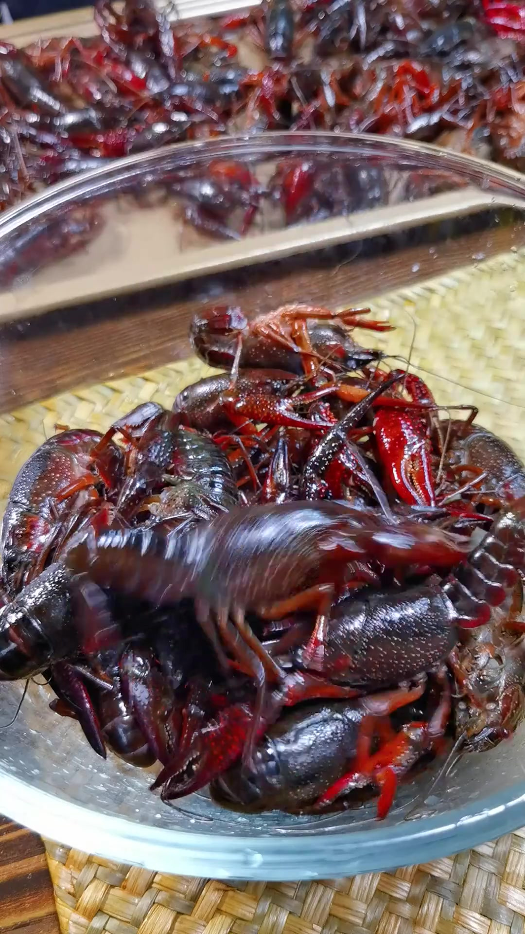 盱眙十三香小龙虾正宗做法,现在龙虾可真贵,不会真有人买龙虾吃