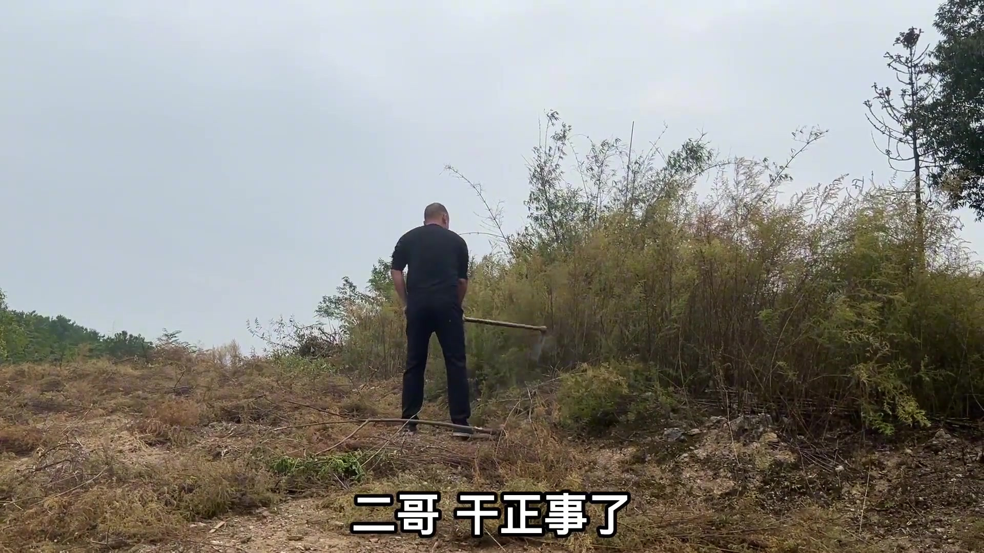 俗话说,香肉滚三滚,神仙站不稳,只有吃过,才知什么是人间美味