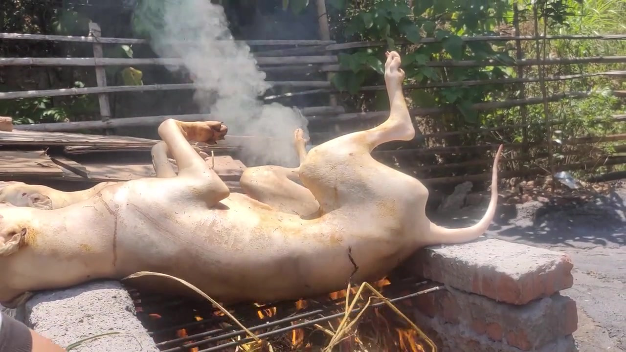 在湖南,香肉这样做吃起来才霸气,真是香肉滚一滚,神仙都站不稳