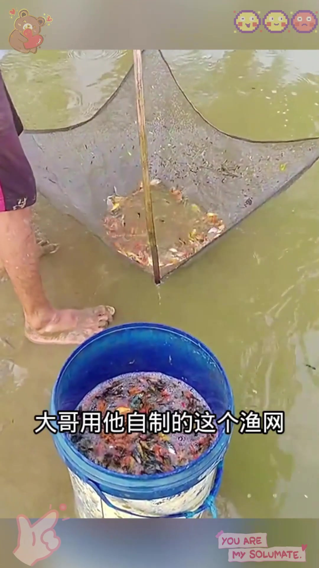 河里捞小鱼,五颜六色的!