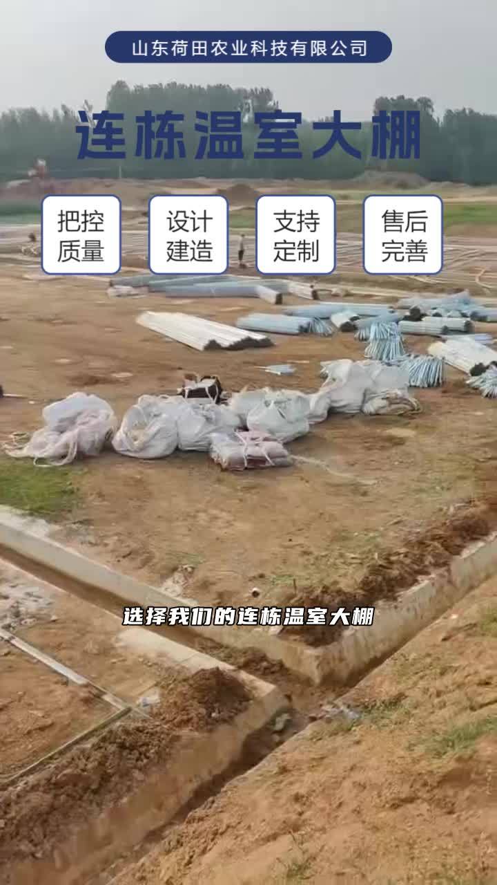泰安蔬菜温室厂家 云南荷兰模式定制