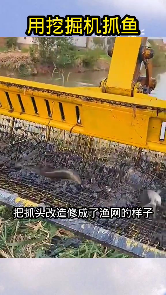 挖掘机变身渔具,男子意外收获两条鱼的欢乐故事