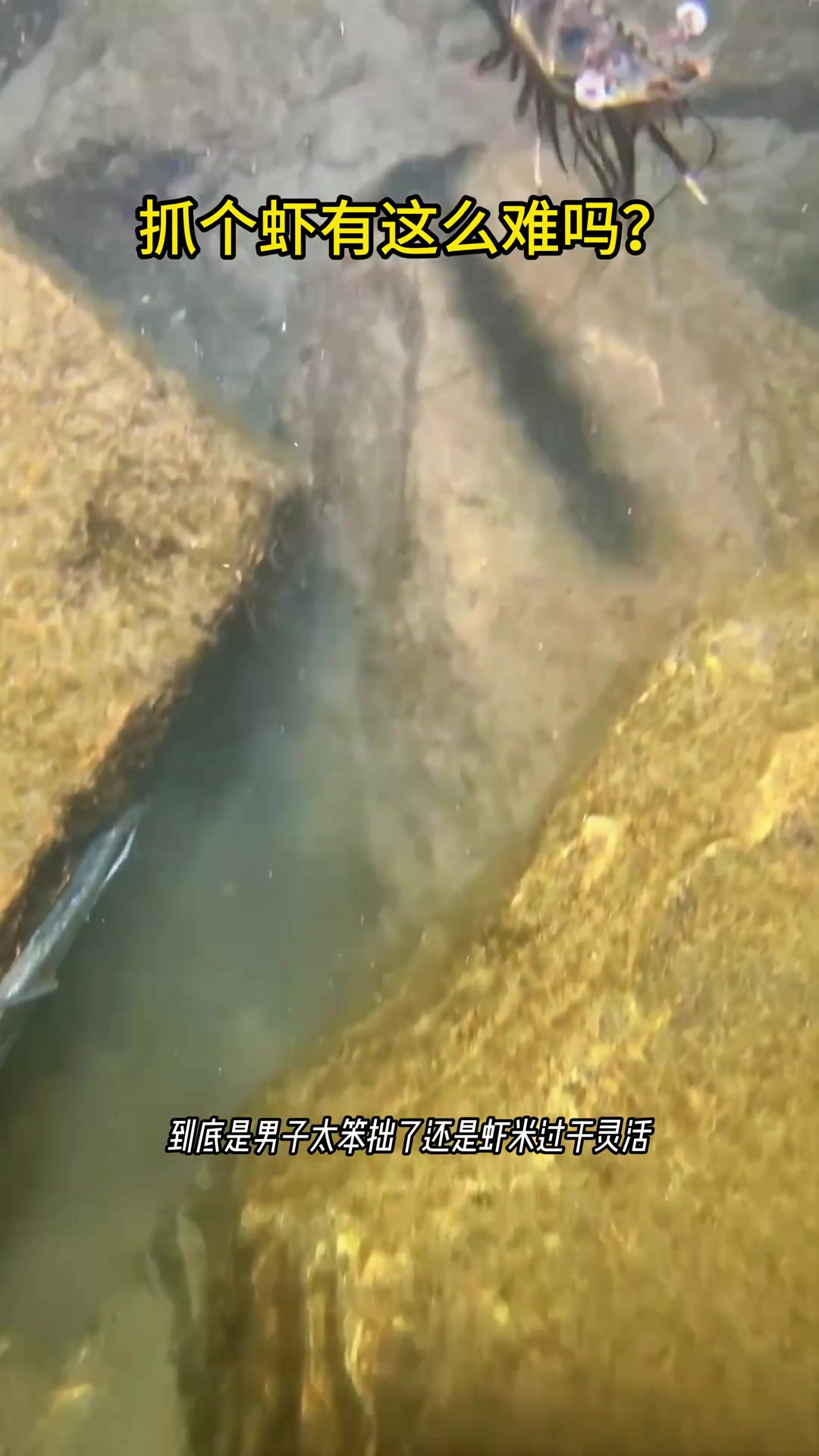 国外男子潜水捕虾遭遇挫折,灵活虾米难以捉住的故事