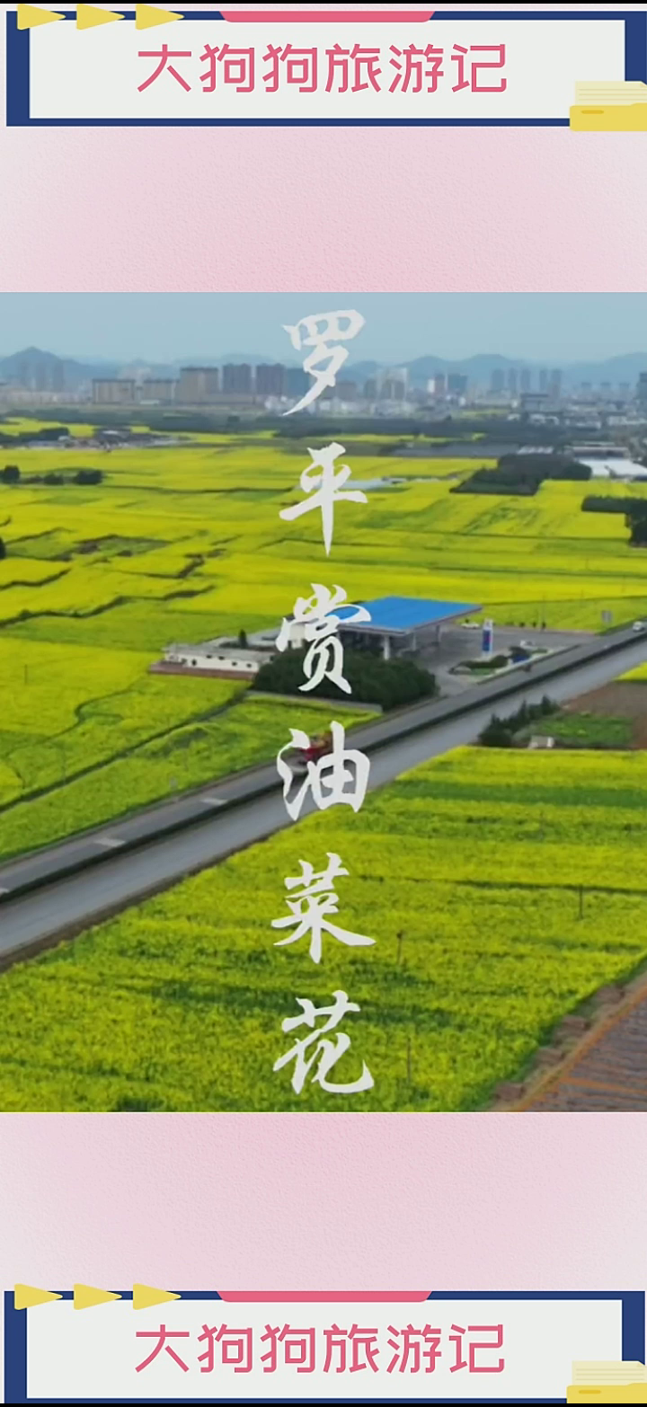 三月沉浸在金碧辉煌的油菜花田里,云南罗平百万亩油菜花