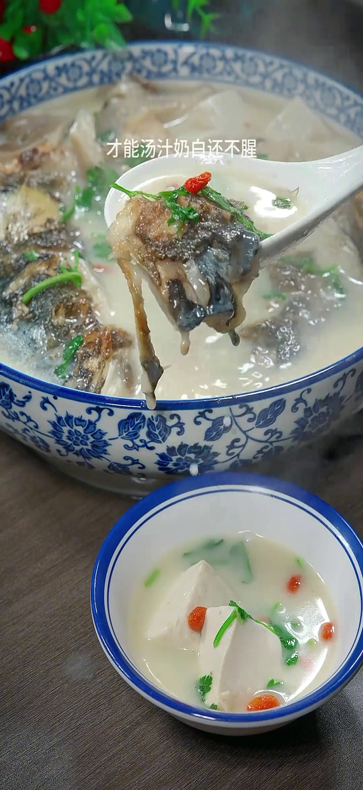 山西美食:鱼头汤在家炖鱼头要怎么做,才能奶白又不腥呢?今天就