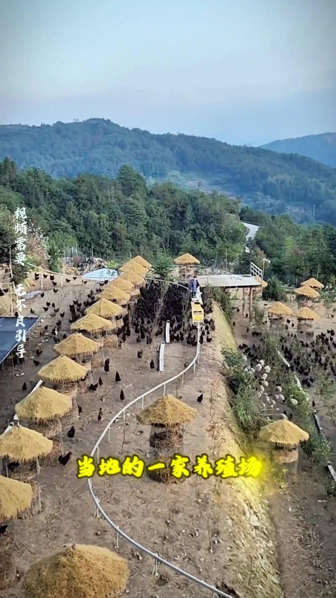 浙江养殖场创新设计:鸡舍变豪华单间,单轨运输系统高效便捷