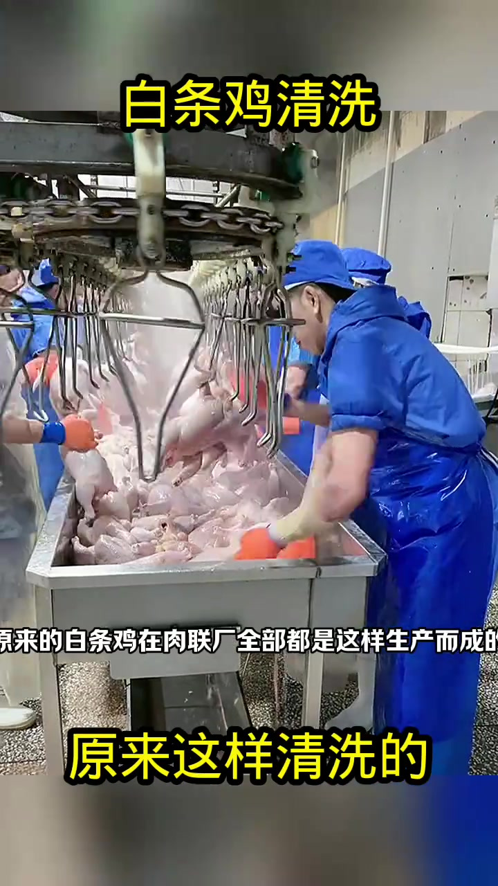 白条鸡清洗,原来这样清洗的!