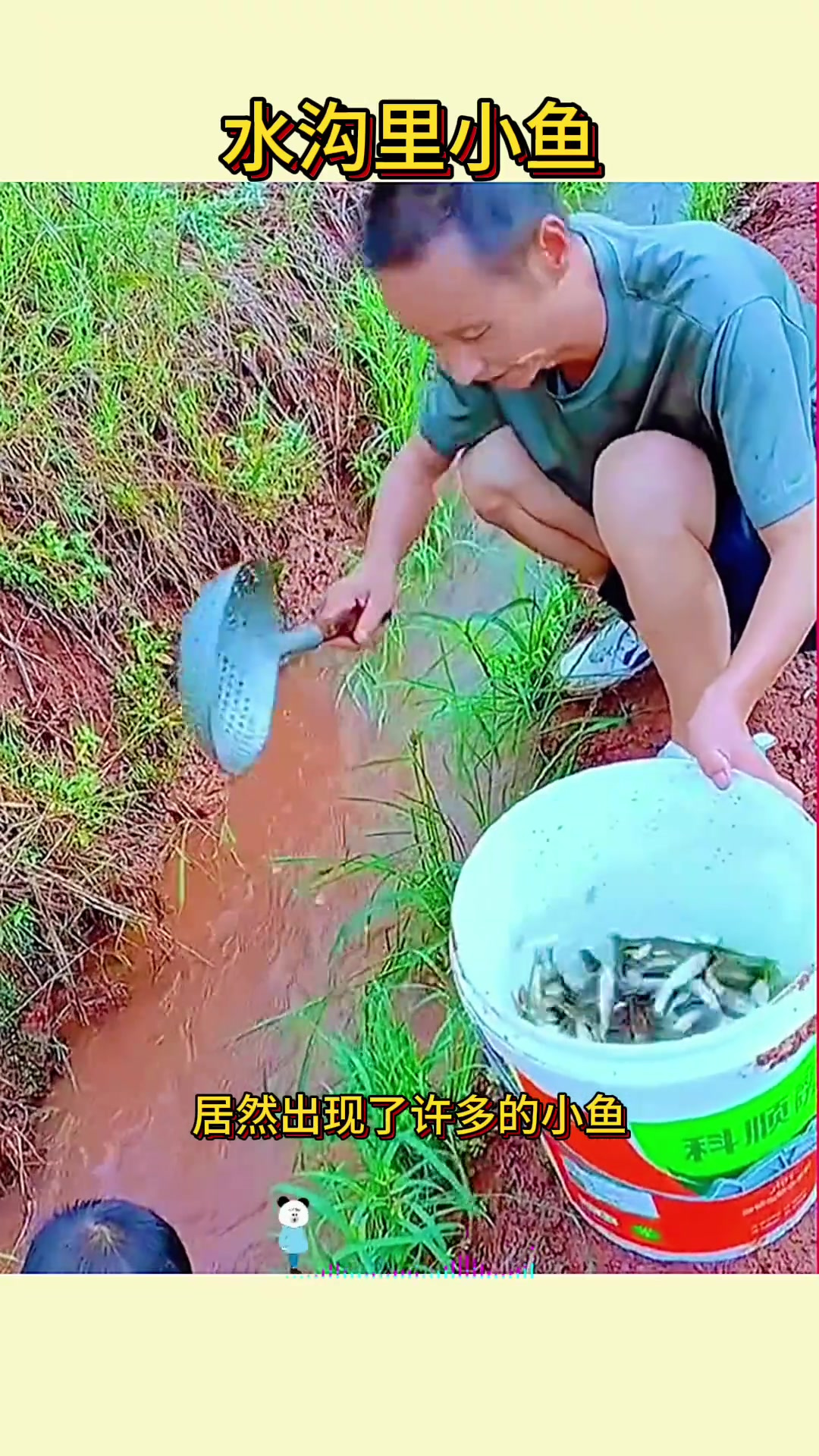 水沟里的小鱼,简直就是意外的收获